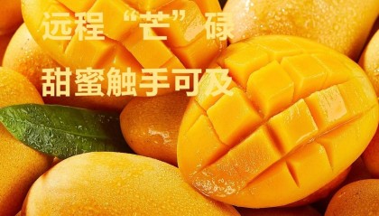 洺宸信息技术资讯:认养芒果树1年,每月快递鲜果!海南果园直供不催熟