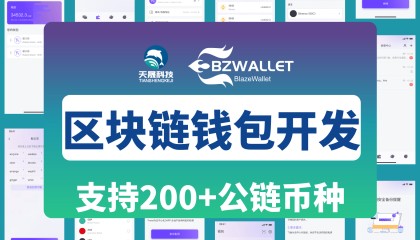 虚拟币系统软件开发(虚拟币系统软件开发工具)