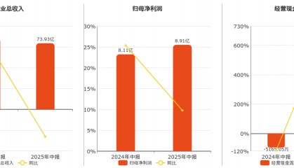 旗滨集团(601636.SH):2025年中报净利润为8.91亿元