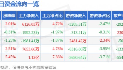 股票行情快报:闻泰科技(600745)9月11日主力资金净买入6126.03万元