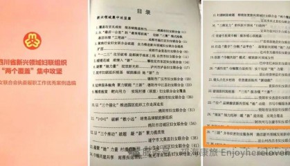 《四川省新兴领域妇联组织“两个覆盖”集中攻坚》收录西昌市妇联报送的《“三措”并举织密妇女服务网 激活新兴领域发展新动能》典型案例