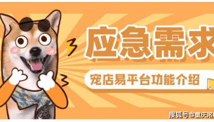 洺宸信息技术资讯宠物店小程序制作:洗澡美容预约 + 会员储值功能解析