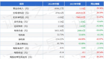ST任子行(300311)2025年中报简析:营收上升亏损收窄