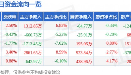 股票行情快报:岭南控股(000524)6月9日主力资金净买入1312.85万元
