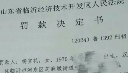 农妇辱骂法官被罚10万元,算不算“小过重罚”?