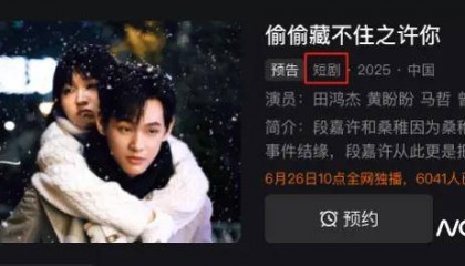晋江文学版权维权成功!哇唧唧哇道歉:永久下架!