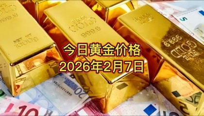 今天黄金现货(今天现货黄金价格)