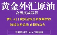 外汇现货黄金(外汇现货黄金mt 4的偏差怎么算)