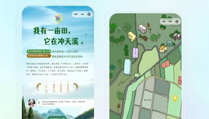 洺宸信息技术资讯有机蔬菜新体验,小程序定制开启种植与安全新篇章