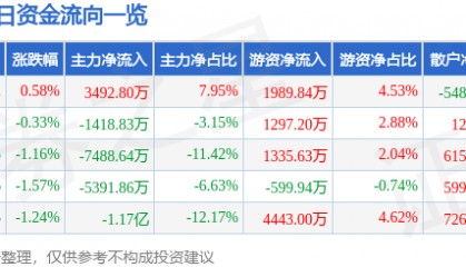 股票行情快报:闻泰科技(600745)8月5日主力资金净买入3492.80万元