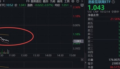 ETF盘中资讯|突然跳水,港股互联网ETF跌逾2%,小米领跌4%!机构:拥挤度回落,向上弹性充足