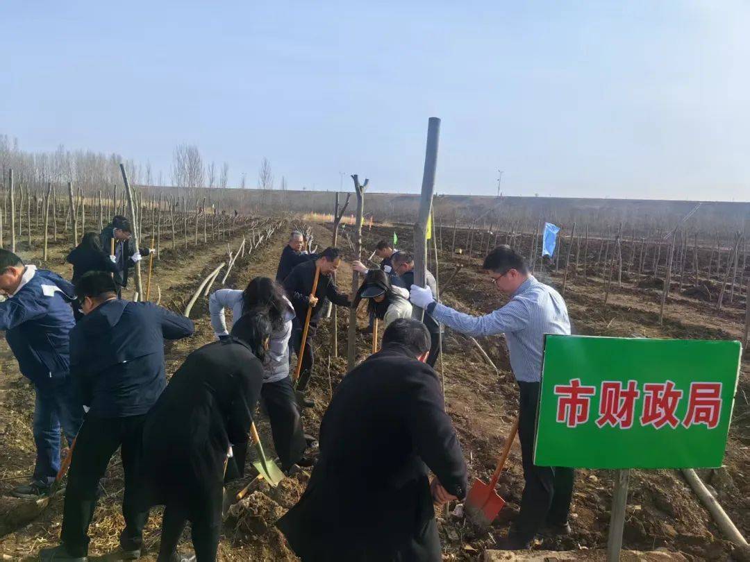 【资讯】共享绿色交通 共建美丽青岛