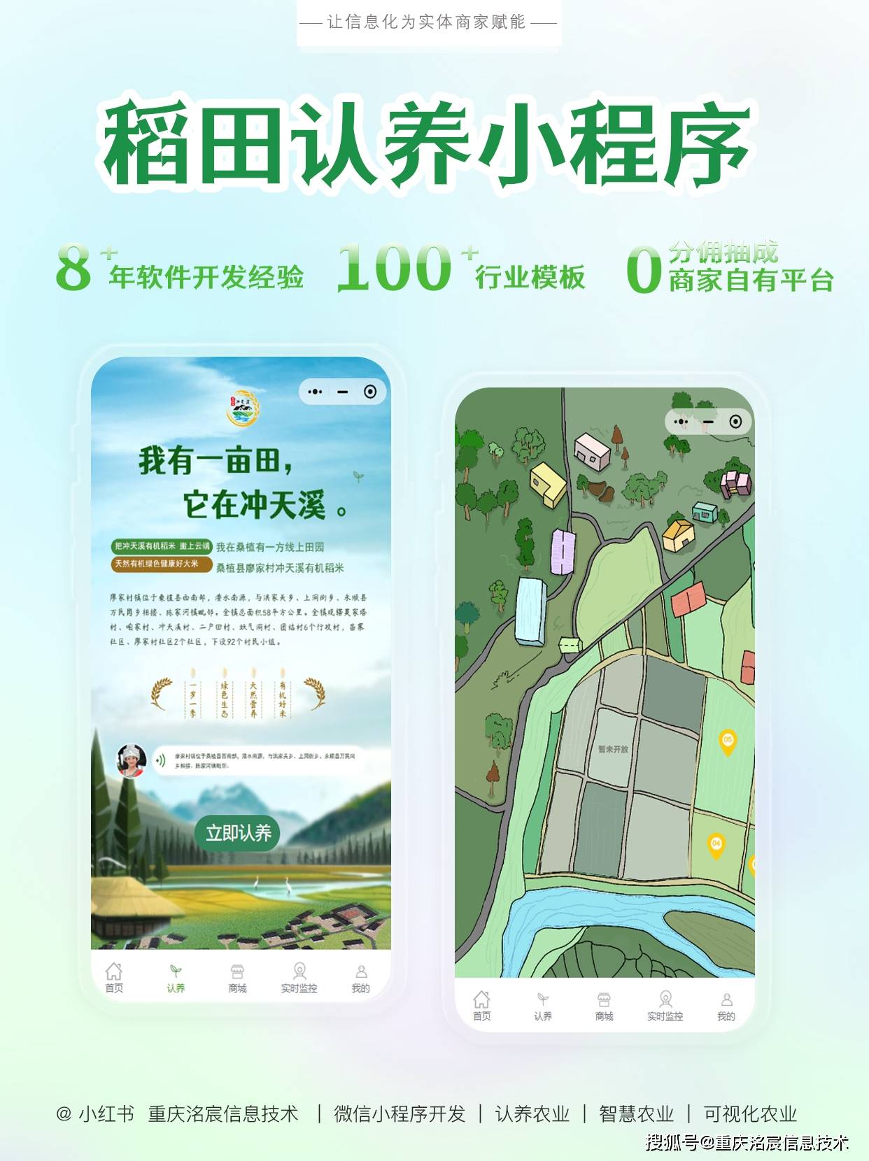 洺宸信息技术资讯有机蔬菜新体验，小程序定制开启种植与安全新篇章