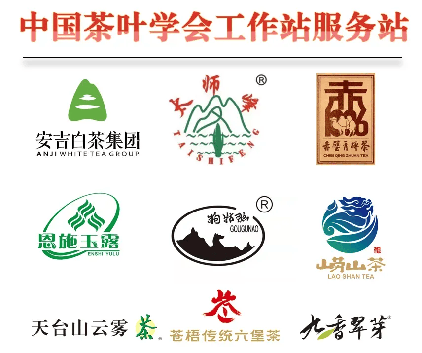 茶资讯 | 中国茶叶学会理事长姜仁华应邀出席第四届浙江诸暨“三茶”统筹发展大会