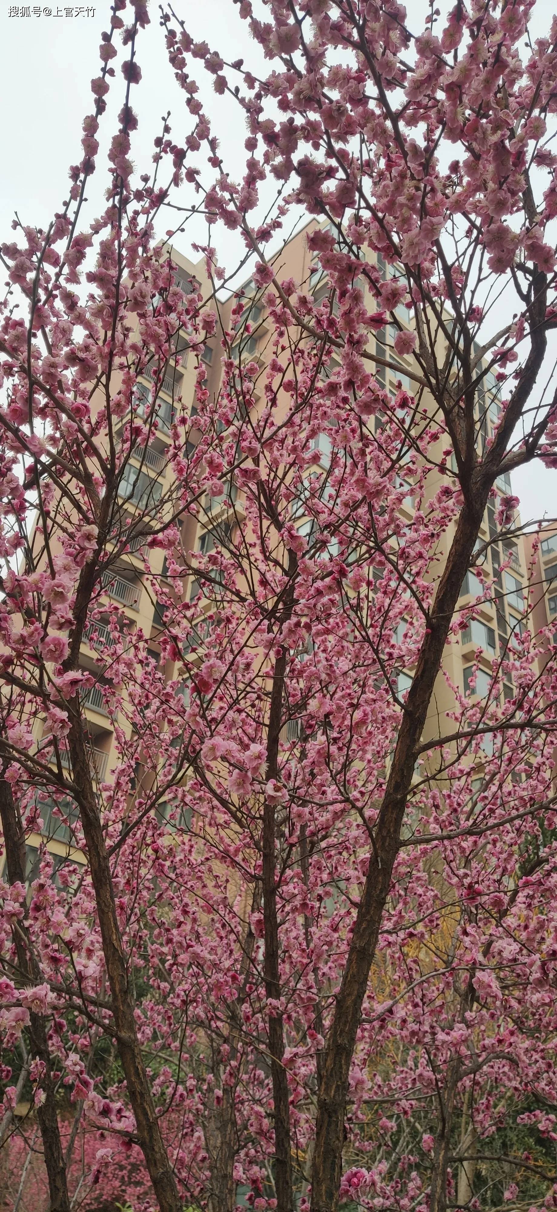 郑州网约车女司机：房产不愁，驾车只是兴趣