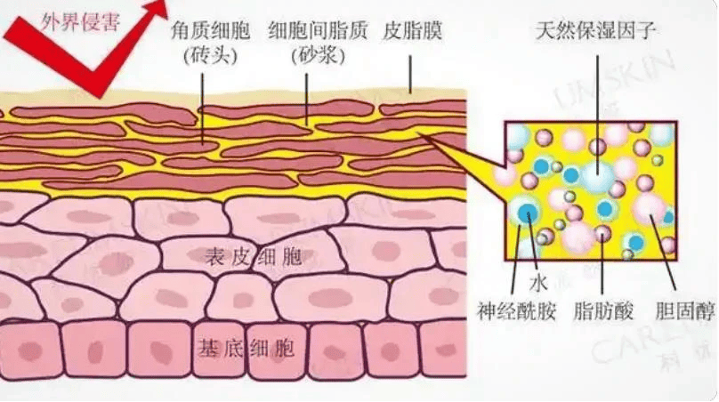 超光炮美容仪有效果吗~助力蜕变新资讯~