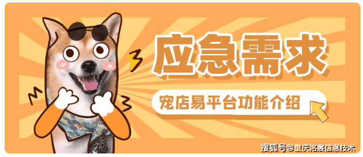 洺宸信息技术资讯宠物店小程序制作：洗澡美容预约 + 会员储值功能解析