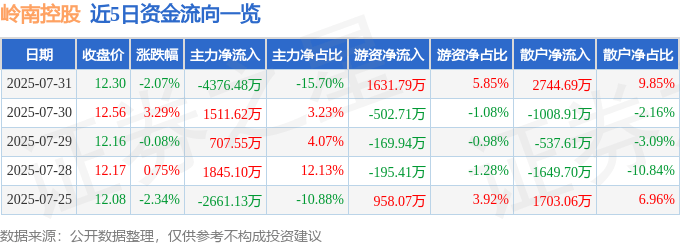 股票行情快报：岭南控股（000524）7月31日主力资金净卖出4376.48万元