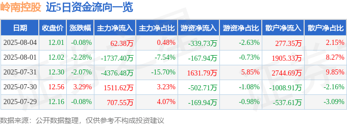 股票行情快报：岭南控股（000524）8月4日主力资金净买入62.38万元