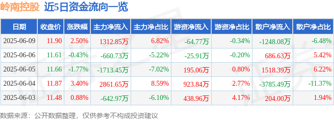 股票行情快报：岭南控股（000524）6月9日主力资金净买入1312.85万元