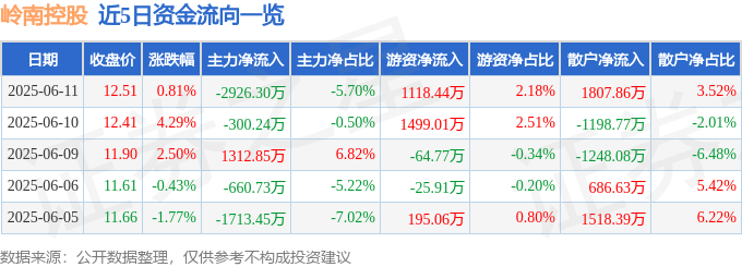 股票行情快报：岭南控股（000524）6月11日主力资金净卖出2926.30万元
