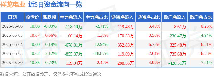 股票行情快报：祥龙电业（600769）6月6日主力资金净卖出128.10万元