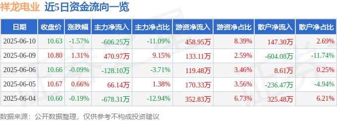 股票行情快报：祥龙电业（600769）6月10日主力资金净卖出606.25万元