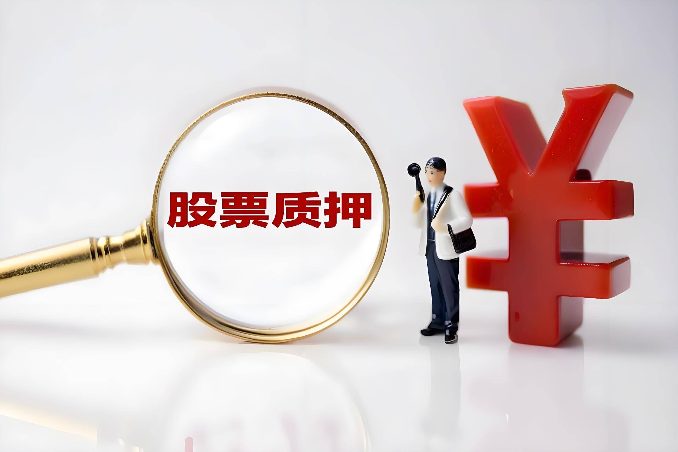 闻泰科技股东闻天下质押近2,560万股用于经营