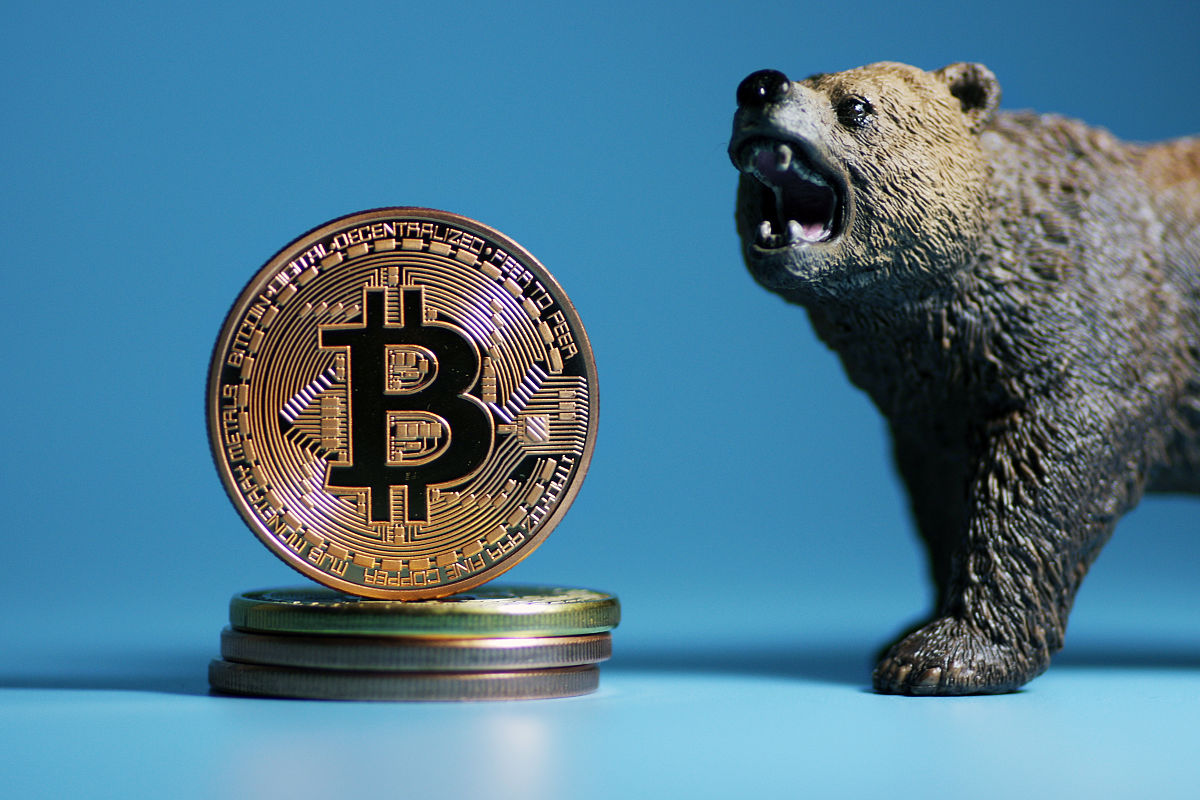 麦加币虚拟货币(麦加币网络传销判刑)